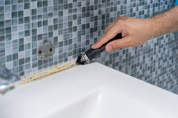 Best Residential Mold Removal  in Monroeville, PA