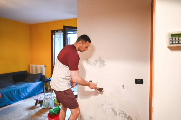 Best Water Damage Restoration  in Monroeville, PA